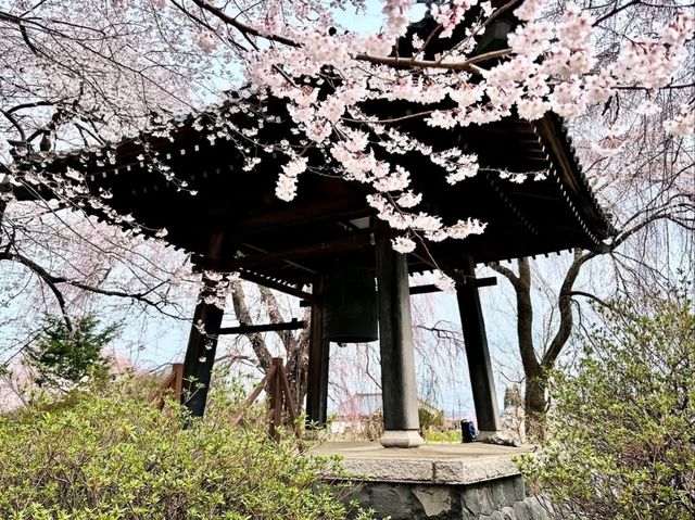 Chill Blossoms and Temple 