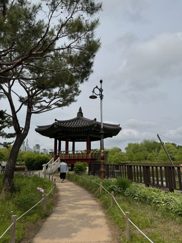 도심 속 봄꽃 여행, 전망대까지 있는 힐링 산책