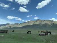 Spring Itinerary: Afton, Hoback & Grand Teton National Park
