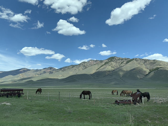 Spring Itinerary: Afton, Hoback & Grand Teton National Park