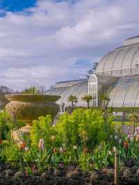 Royal Botanic Gardens – London’s Autumn Masterpiece