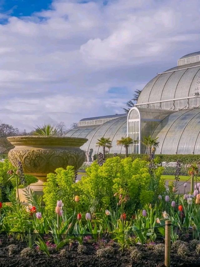 Royal Botanic Gardens – London’s Autumn Masterpiece