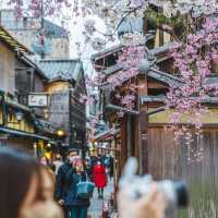 Japan – Where Trains Glide Through Pink Seasons