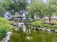 德華公園深度遊🌟 鬧市中的後花園🌷⛲️
