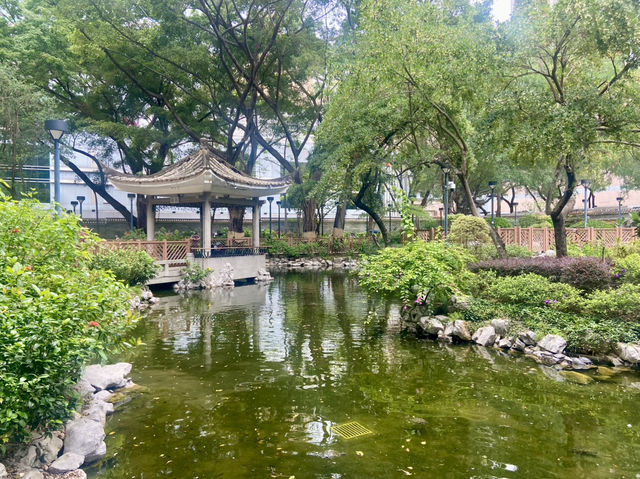 德華公園深度遊🌟 鬧市中的後花園🌷⛲️