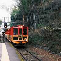 【京都】絶景列車と舟旅で楽しむ、嵐山1日満喫コース
