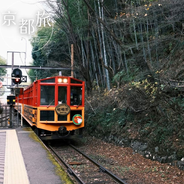 【京都】絶景列車と舟旅で楽しむ、嵐山1日満喫コース