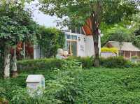 บ้านตากะยาย Cafe’ 
