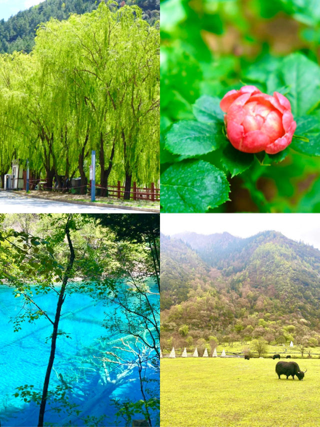 vibrant capital of China’s Sichuan provi