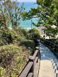 A Relaxed Day by the Sea – Exploring Katsurahama