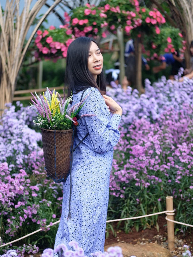 ถ่ายสวนดอกไม้ที่เชียงใหม่