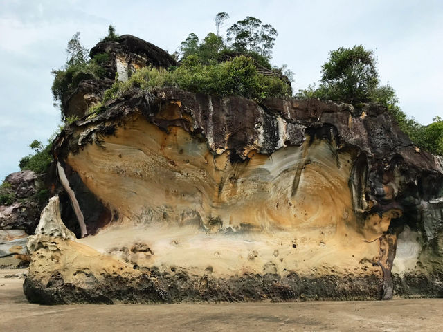 Walk into the nature in Kuching