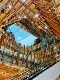 Art & Airy Spaces in Toyama – A Creative Day Surrounded by Beauty