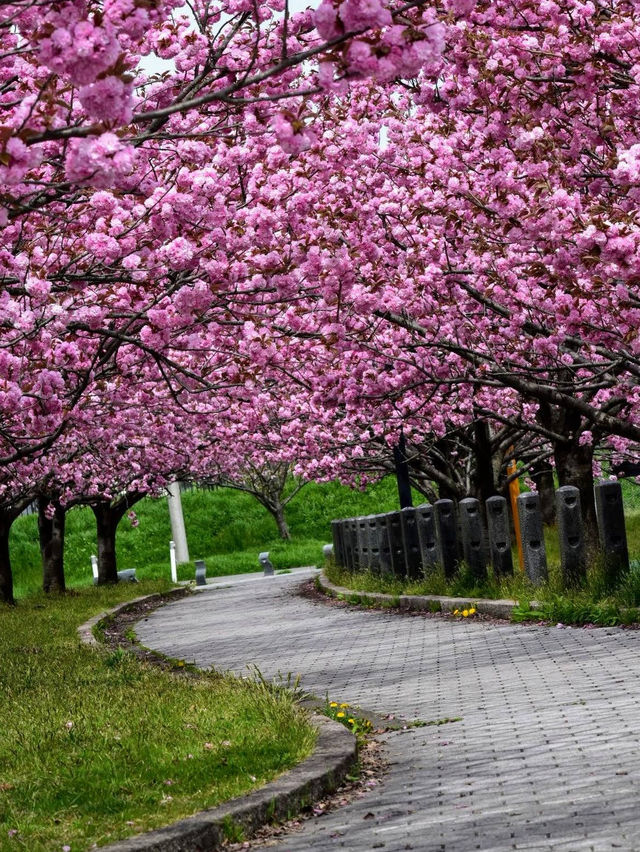 Tsuruokaseibu Park