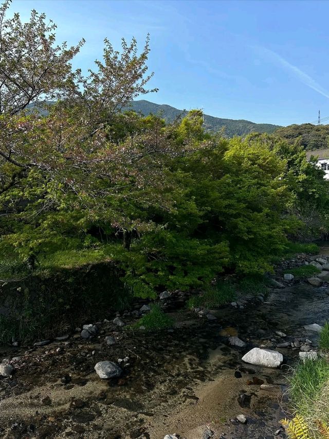 Akizuki Town in Spring