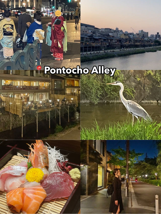 ✨Kyoto Itinerary (4D3N)🇯🇵