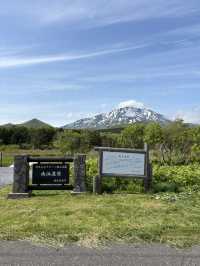 【利尻島】利尻島最大の高層湿原で季節の花と絶景を満喫！南浜湿原