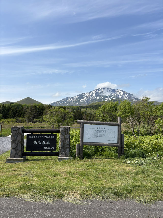 【利尻島】利尻島最大の高層湿原で季節の花と絶景を満喫！南浜湿原