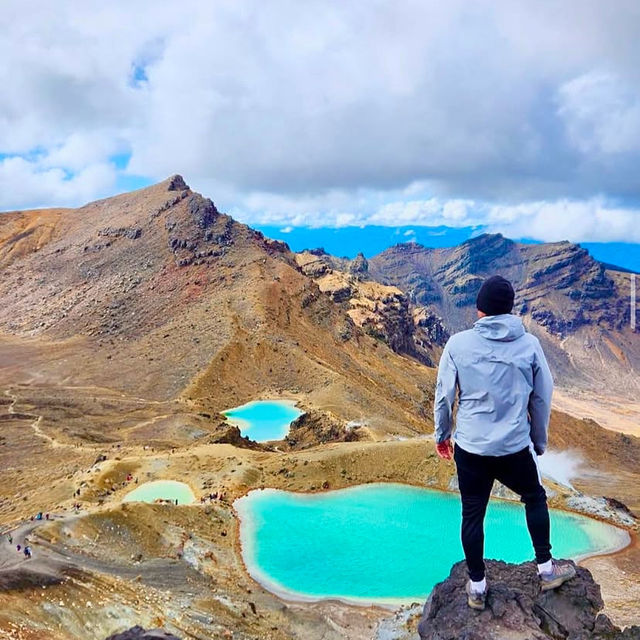 New Zealand and the Tongarira National Park hike!