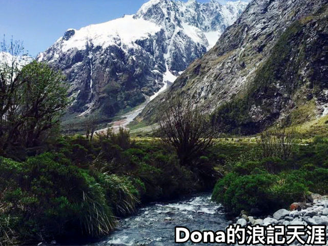 📍紐西蘭南島。Monkey Creek ｜ 千萬不要錯過的必訪景點