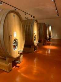 Mendoza – Where Malbec Meets the Mountains