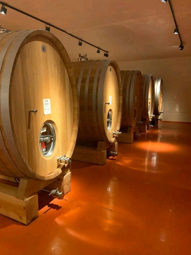 Mendoza – Where Malbec Meets the Mountains
