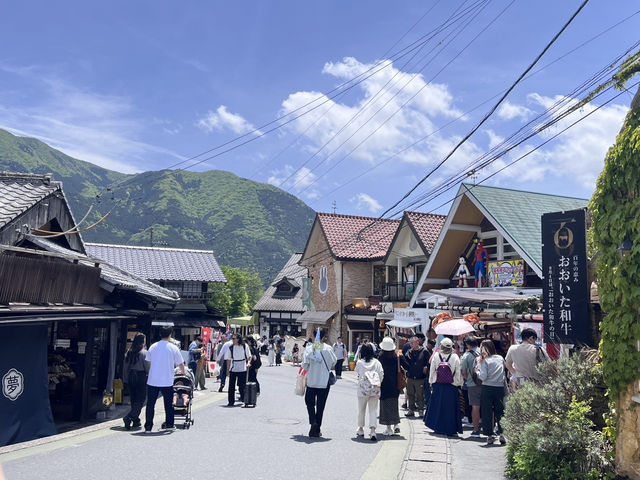 九州熊本福岡初體驗🌸超級適合帶長輩一起旅遊🥳