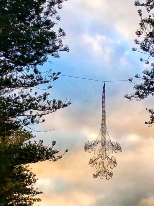 🏝️ Coastal Charm Unleashed: Fall in Love with Cottesloe Beach, Perth! 🌅🌊