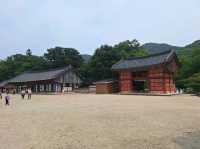중년에 홀로떠난 여행 1일차 고창 선운사에서