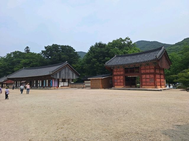 중년에 홀로떠난 여행 1일차 고창 선운사에서