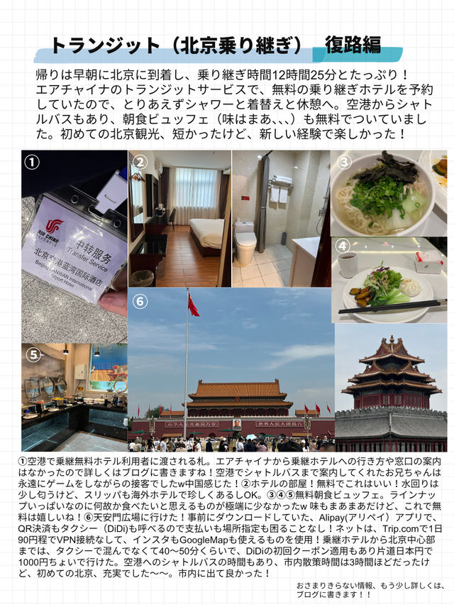 【エアチャイナ　レビュー】北京経由でヨーロッパのポーランドへ！✈️