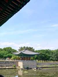 고요한 호숫가 따라 걷는 산책 한 모금