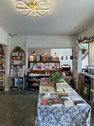 Giving Tree: A Charming Independent Bookstore and Cafe in Yangsan
