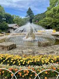 A Slow Stroll Through Gifu – Nature, History & Calm