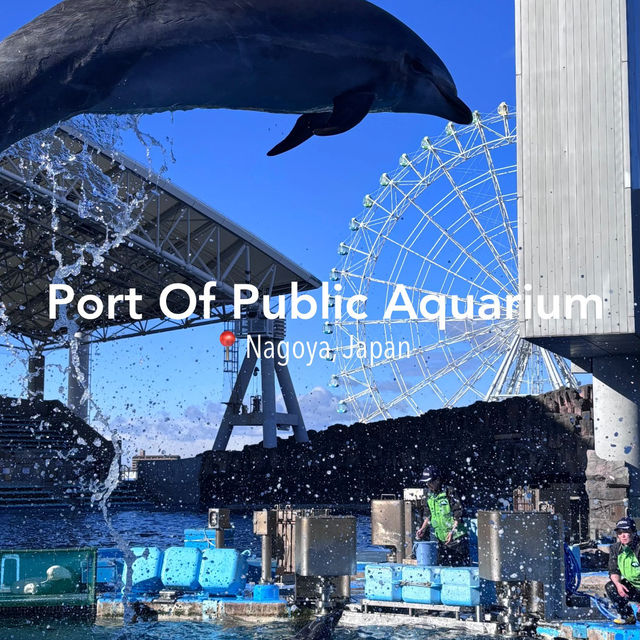 Nagoya Aquarium – Captivated by the Beauty of "Blue" 💙🐬