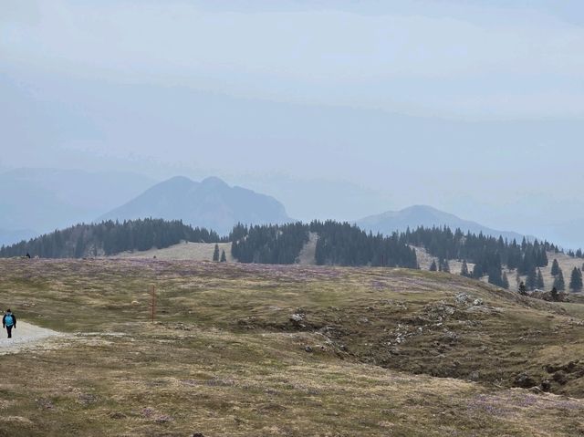 Velika planina