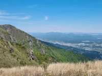 Exploring Ganwolsan Was a Sweet Escape