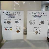 北海道でも珍しい‼️レア体験ができる博物館