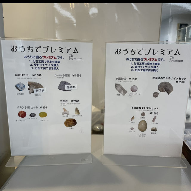 北海道でも珍しい‼️レア体験ができる博物館