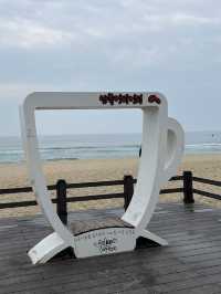 동해안 바다가 보이는 멋진 카페들
