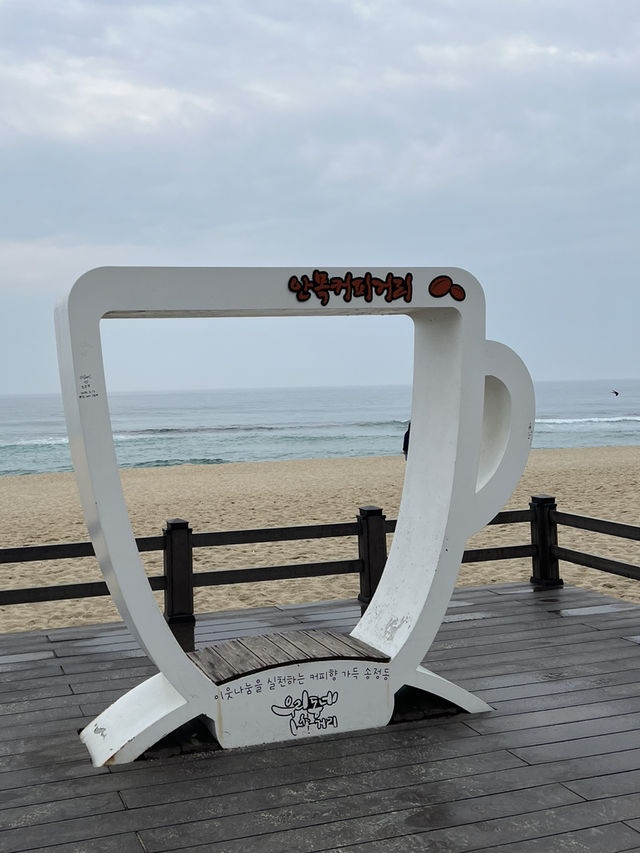 동해안 바다가 보이는 멋진 카페들