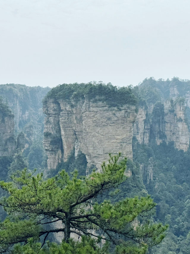 張家界 路線 