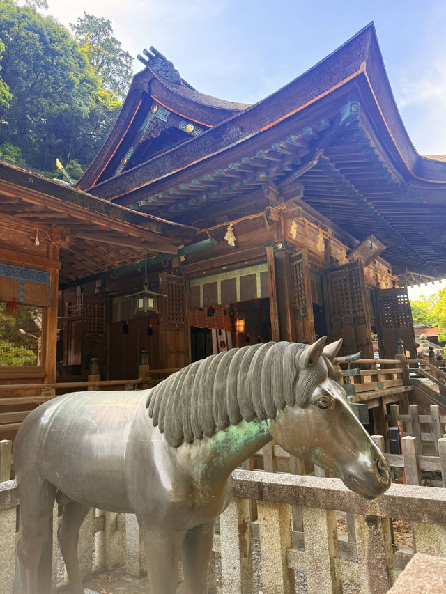 香川｜一日元求心願達成的旭社 40年才完工的日本重要文化財