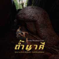 ที่เที่ยวหน้าฝน ถ้ำนาคี นครพนม 2025