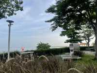 ร้านกาแฟติดทะเล