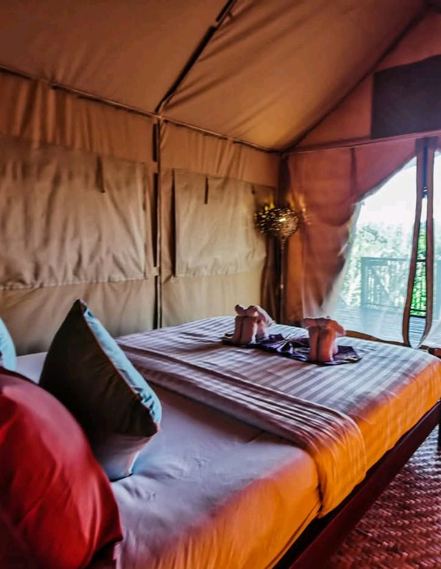 khaosok boutique camps สุราษฎร์ธานี