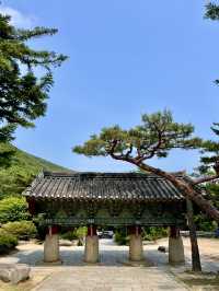 釜山梵魚寺