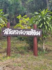 น้ำตกสวนห้อม