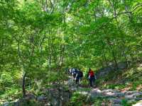 My Adventure at Gyeryongsan