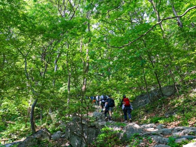My Adventure at Gyeryongsan